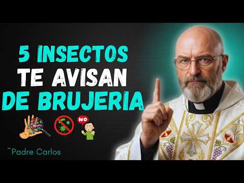 Si Ves Estos 5 Insectos, Podría Haber Brujería en Tu Casa -🙏⚠️ | Padre Carlos #inspiración