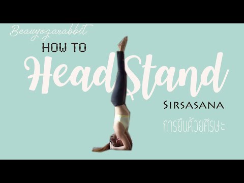 How to Headstand โยคะ ท่ากลับหัว ฝึกท่ายืนด้วยศีรษะกัน : Beauyogarabbit
