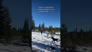 Cut down your own Christmas tree in Oregon (with a permit)