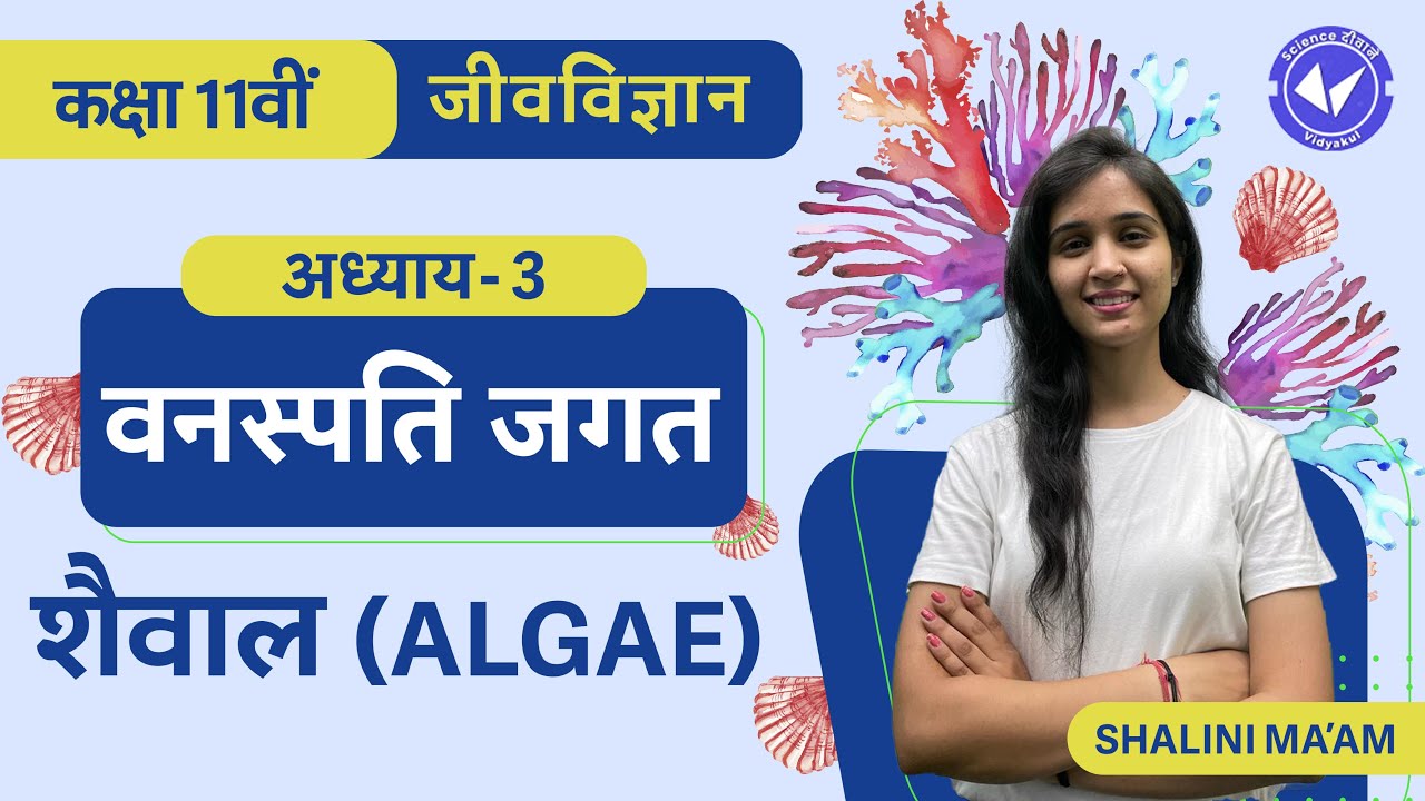 Algae | Plant Kingdom | Class 11 Biology Chapter 3 | Hindi Medium | Board Exam 2023