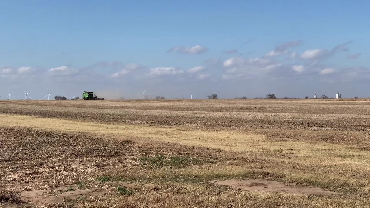 Соя 2019. Соя 2019