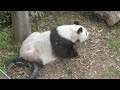 2023/04/05　運動場にて