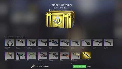 5x cs20 cases