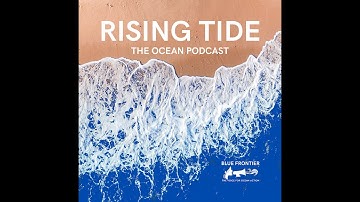 Rising Tide 138  The UN’s Ocean Conference Video Promo