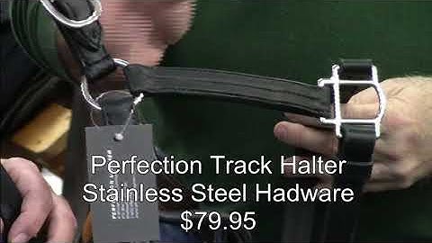 Perfection Track Halter- Black w/ SS Hardware