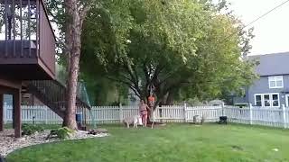 Slackers Backyard Zip Line
