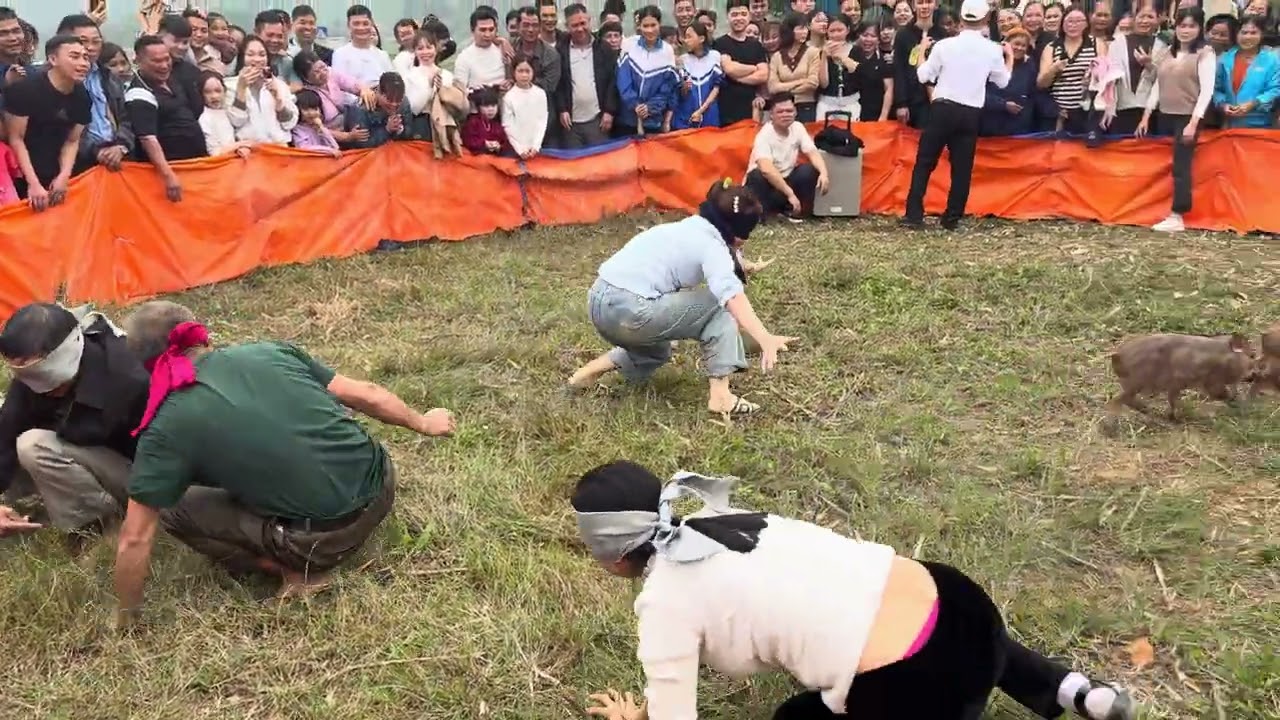 Cười chảy nước mắt trò chơi bắt lợn khai xuân 2026 phường quân cay