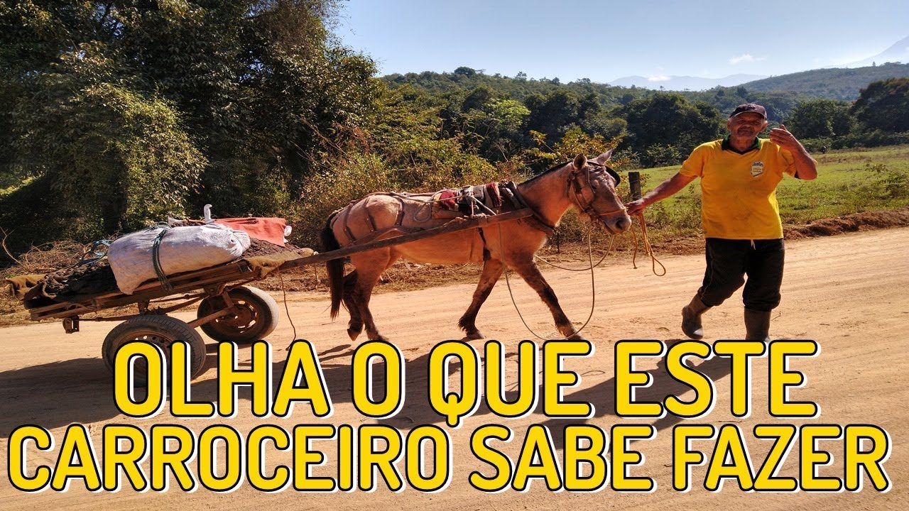 OLHA QUEM ENCONTRAMOS POR ACASO : DONO DE SÍTIO, TRABALHADOR DA ROÇA E COM ESSE TALENTO