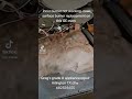 GE oven inner surface burner not working.  appliance repair Arlington tx dfw #appliancebootcamp