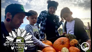 Famous Pumpkin Patch Picking Family Vlog - Little Wytheford Farm- October 2022 Profile