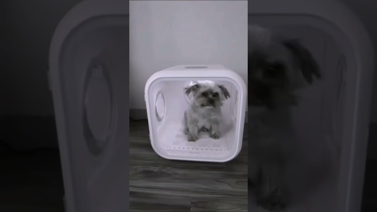 automatically drying pet cabin 