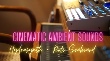 Cinematic Ambient Sounds with ASM Hydrasynth Desktop and Roli Seaboard blocks