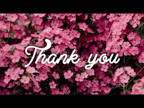 To Everyone Who Supported Me This Year 🤍