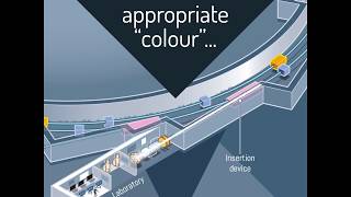 How does a Synchrotron work?