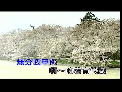 你是我的兄弟~傅振輝&高向鵬~男C調~伴奏~導唱~金嗓(丙)
