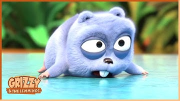 For Real | Grizzy & the lemmings Clip| 🐻🐹 Cartoon for Kids