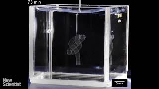 3D-printing needle creates intricate objects in soft gels screenshot 3