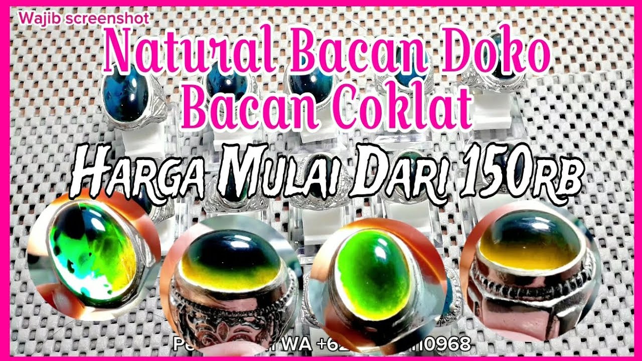 Bacan Harga Murah Natural Bacan Coklat Harga Mulai Dari 150rb Buruan bacan-harga-murah-natural-bacan-coklat-harga-mulai-dari-150rb-buruan