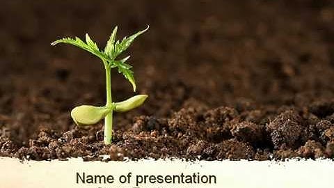 Braird PowerPoint Template by PoweredTemplate.com