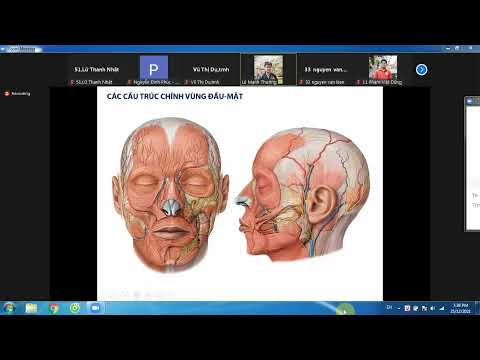 Video Giải phẫu CK1 B5 ĐM cảnh,hàm trên,mặt,xoang TM màng... - youtube