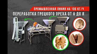 Линия по переработке грецкого ореха