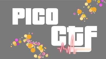 picoCTF  challenge Python Wrangling  General skills