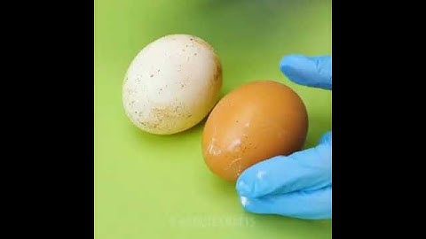 VINEGAR AND EGG SHELL REACTION 😱😍😍!! #shorts