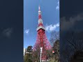 【実写】最近投稿できてなくてごめん！！