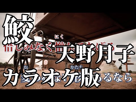 【ニコカラ】鮫（Off Vocal）【天野月子】