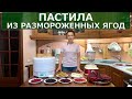 Пастила из размороженных ягод