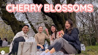 Cherry Blossom Viewing (&quot;Hanami&quot;) in Tokyo 🌸 Vlog
