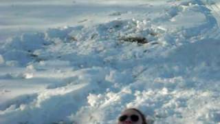 Jo sledding.AVI