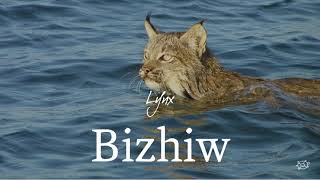 Wildlife Anishinaabemowin, The Ojibwe Language