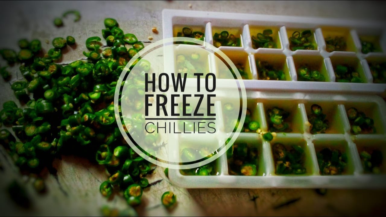 How to freeze green chilies Selin YouTube