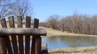 On the Road... The Canebrake