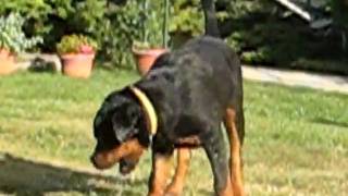 MVI_3136.avi
