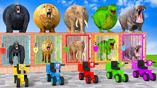Long Slide Game With Elephant Gorilla Buffalo Hippopotamus Tiger - 3d Animal Game - Funny 3d Animals screenshot 1