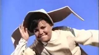 Sally Field - Who needs wings to fly (1967)