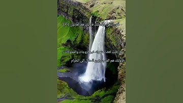 سورة المعارج من الآية﴿٢٩﴾الي الآية ﴿٣٣﴾بصوت القارئ إسلام صبحي
