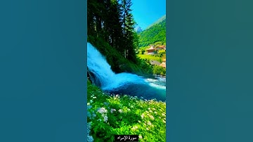حالات واتس سورة الإسراء الآية ٤٥بصوت #فارس_عباد