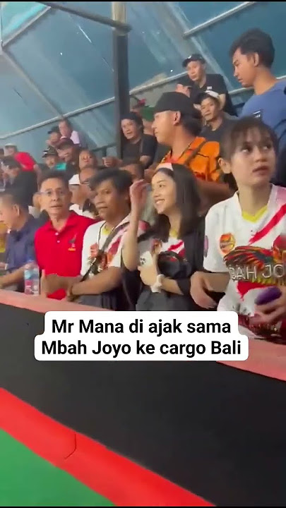 Mbah Joyo dan mr.Manna #shortvideo #ayamviral #ayambangkok #subscribe #makhoythai #aseelmu #rooster