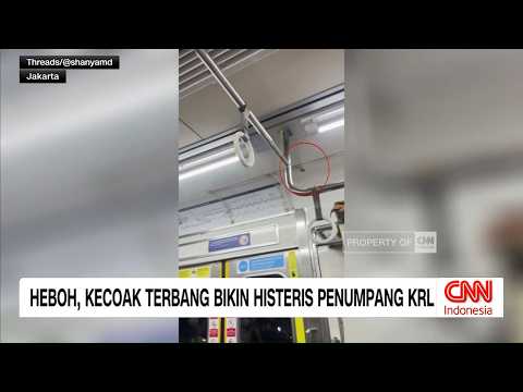 Heboh, Kecoak Terbang Bikin Histeris Penumpang KRL