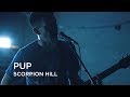 PUP | Scorpion Hill | First Play Live