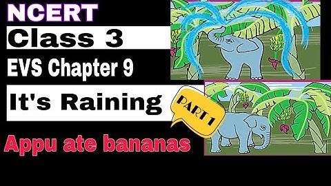 NCERT Class 3 EVS Chapter 9 - Its Raining || Part 1 || Appu ate bananas
