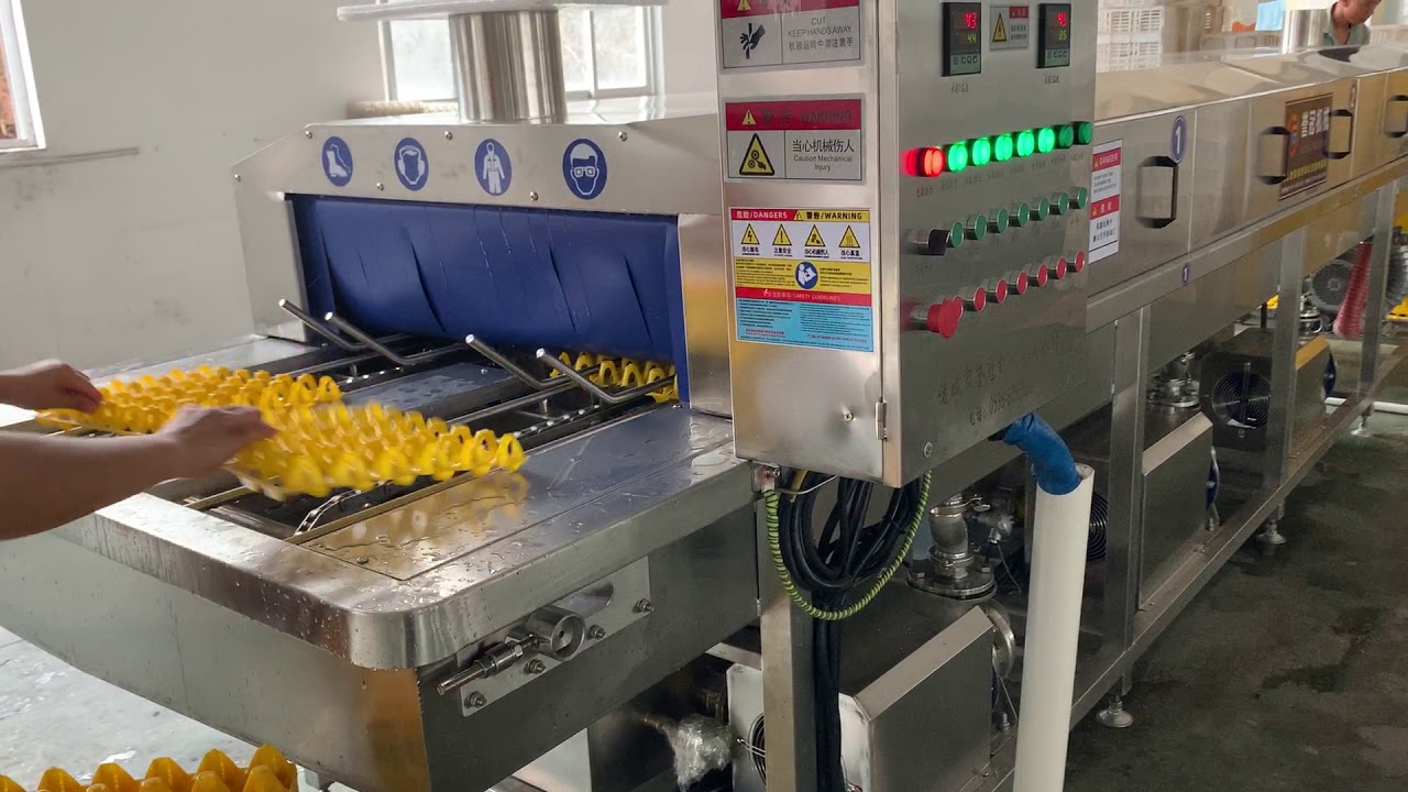 egg tray washer YouTube