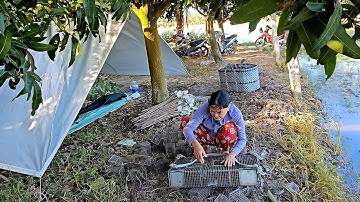 Dựng Lều Dưới Góc Xoài, Bẫy Chuột Khi Đồng Lên Nước #vợchồngmiềntâytv