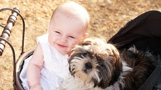 Cute Baby Playing With Dog