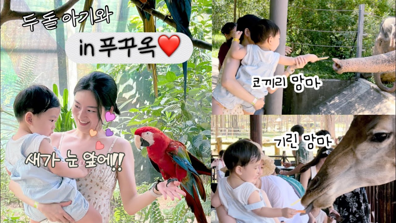 두돌 아기와 베트남 푸꾸옥 여행 기록❤️ | 빈펄사파리 | 빈원더스 | 킹콩마켓 | 그랜드월드 | 크라운플라자