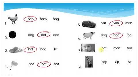 Kindergarten CKLA Skills Unit 4 Lesson 14 - Circle the Word