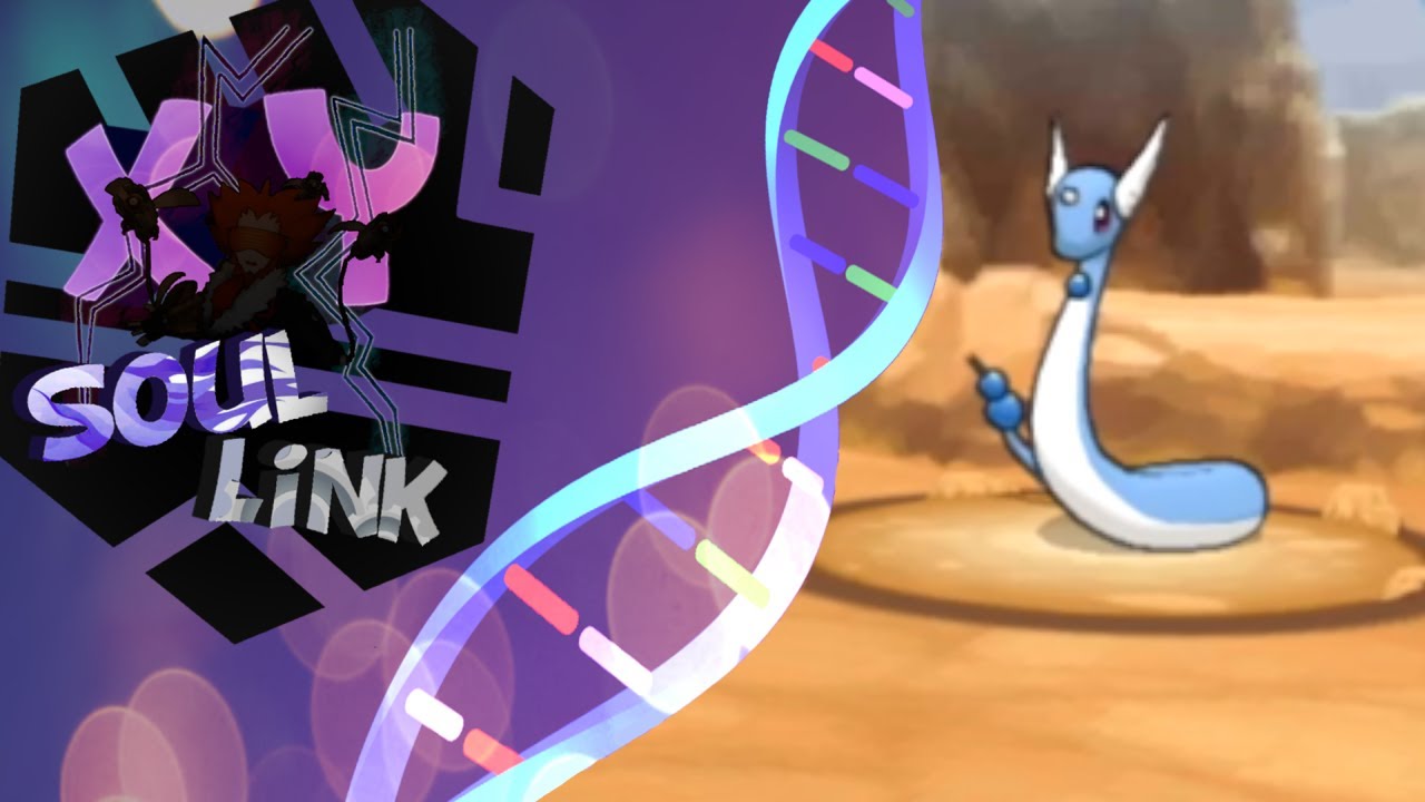 The memes are everpresent Pokemon XY Soullink